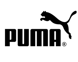 Puma | T-shirts | Sportswear | Spiritwear | Teamwear 